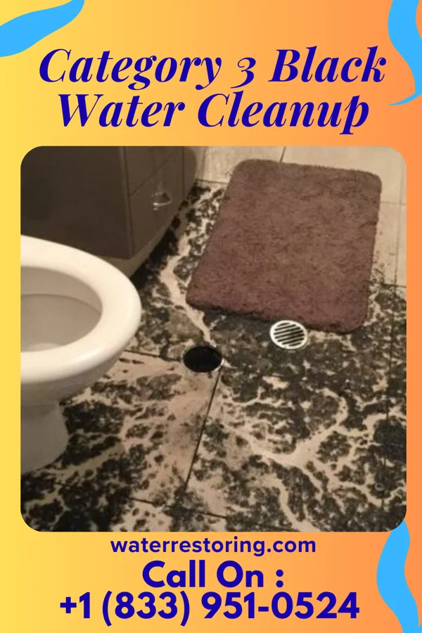 Category 3 Black Water Cleanup in Moore Station, TX