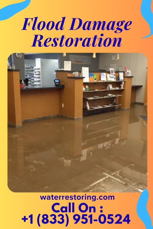 Flood Damage Restoration in Moore Station, TX