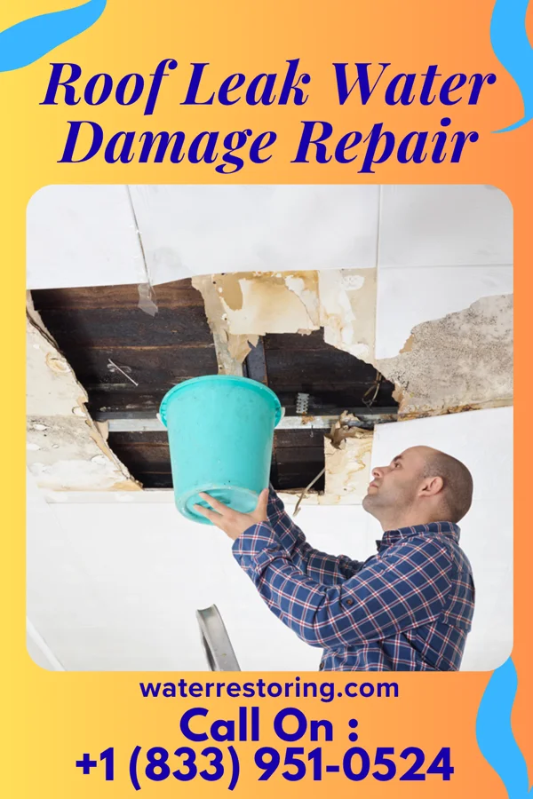 Roof Leak Water Damage Repair in Moore Station, TX