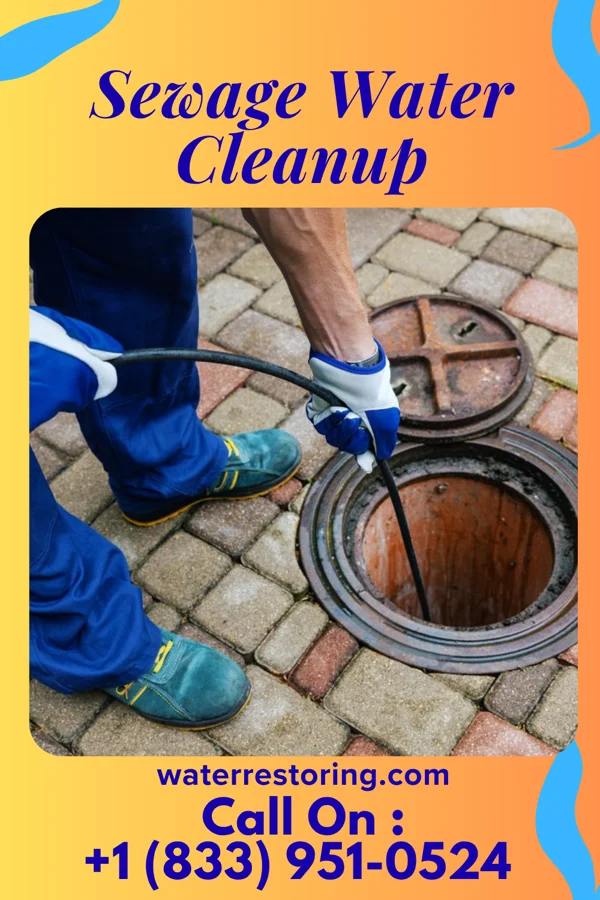 Sewage Water Cleanup in Moore Station, TX
