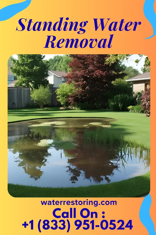Standing Water Removal in Moore Station, TX